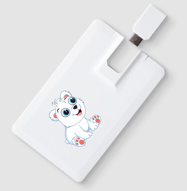 카드형OTG(분리)C타입 USB제작